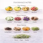 French Avenue Vulcan Feu Extrait de Parfum 100ml парфюмированная вода унисекс Фото num