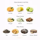 French Avenue Essence de Blanc EDP 100ml парфюмированная вода унисекс Фото num