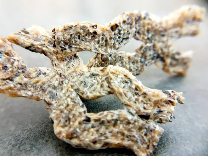 QCHEFS Gardums suņiem Sizzles 65 g Foto 3