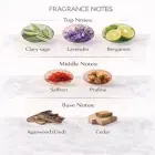 Al Haramain Detour Eco 100ml EDP Unisex smaržūdens Foto 4