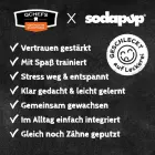 Bišu stropa laizāmā nūjiņa Foto 3