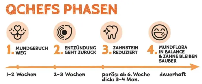 QCHEFS Papildbarība Dental Flakes suņiem 90gr. Foto 7