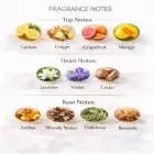 Lattafa Perfumes Opulent Dubai EDP 100ml parfimētais ūdens unisekss Foto 3