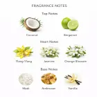 Lattafa Perfumes La African Drummer EDP 100ml parfimētais ūdens unisekss Foto 3