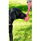 Saldējuma konusa laizāmā nūjiņa Foto 3