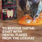 QCHEFS Papildbarība ar aktīvo ogli Dental Charcoal kaķiem 70gr Foto 6