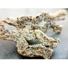 QCHEFS Gardums suņiem Sizzles 65 g Foto 3