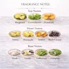 Al Haramain Amber Oud Aqua Dubai Parfum Extrait De Parfum  100ml  Unisex smaržūdens Foto 3