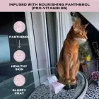 KOTOMODA mitrās salvetes ar pantenolu kaķiem (15 gab.) Foto 4