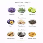 Lattafa Perfumes Vintage Radio EDP 100ml парфюмированная вода унисекс Фото num