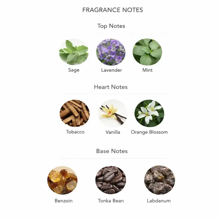 Lattafa The Kingdom EDP M 100 ml Eau de Parfum for Men Photo