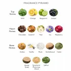 Lattafa Al Noble Wazeer EDP U 100 ml  parfumūdens unisex Foto 3