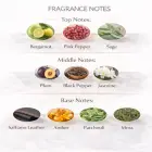 Lattafa Al Nashama EDP U 100 ml   parfumūdens unisex Foto 2